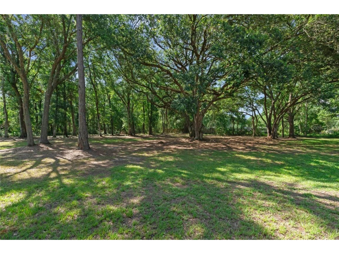 18166 Lynbrook Road Orlando FL 32820 O6318211 image44