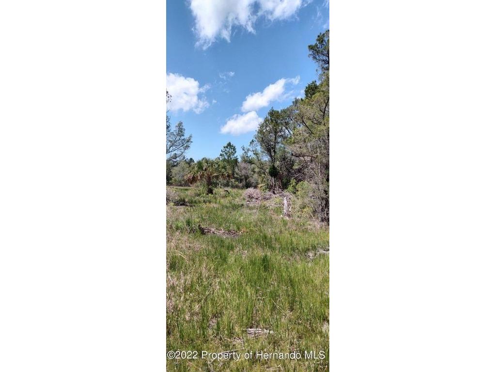 18167 Quinton Road Brooksville FL 34614 U8246572 image1