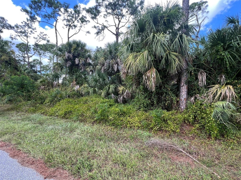 18168 Zanzibar Avenue Port Charlotte FL 33954 TB8415834 image8