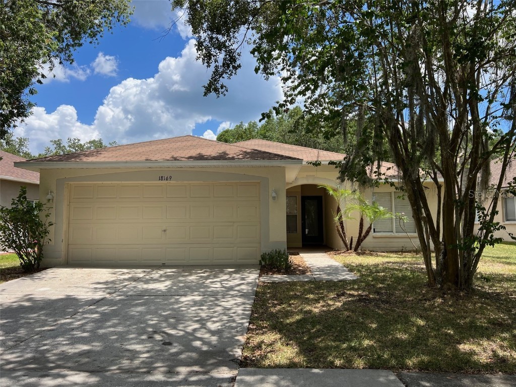 18169 Sandy Pointe Drive Tampa FL 33647 U8247070 image1