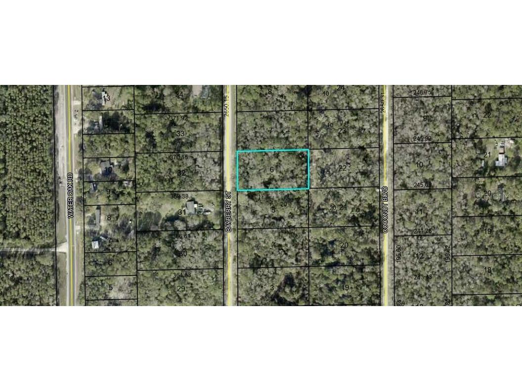1817 Bayberry Street Bunnell FL 32110 FC313585 image1