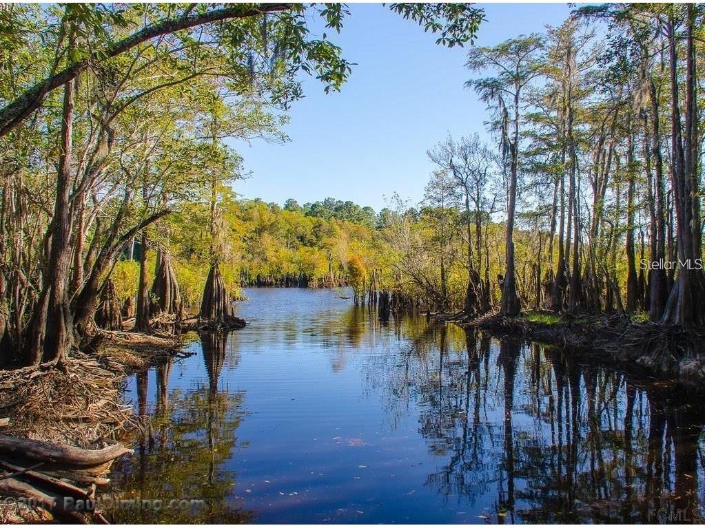 1817 Bayberry Street Bunnell FL 32110 FC313585 image2