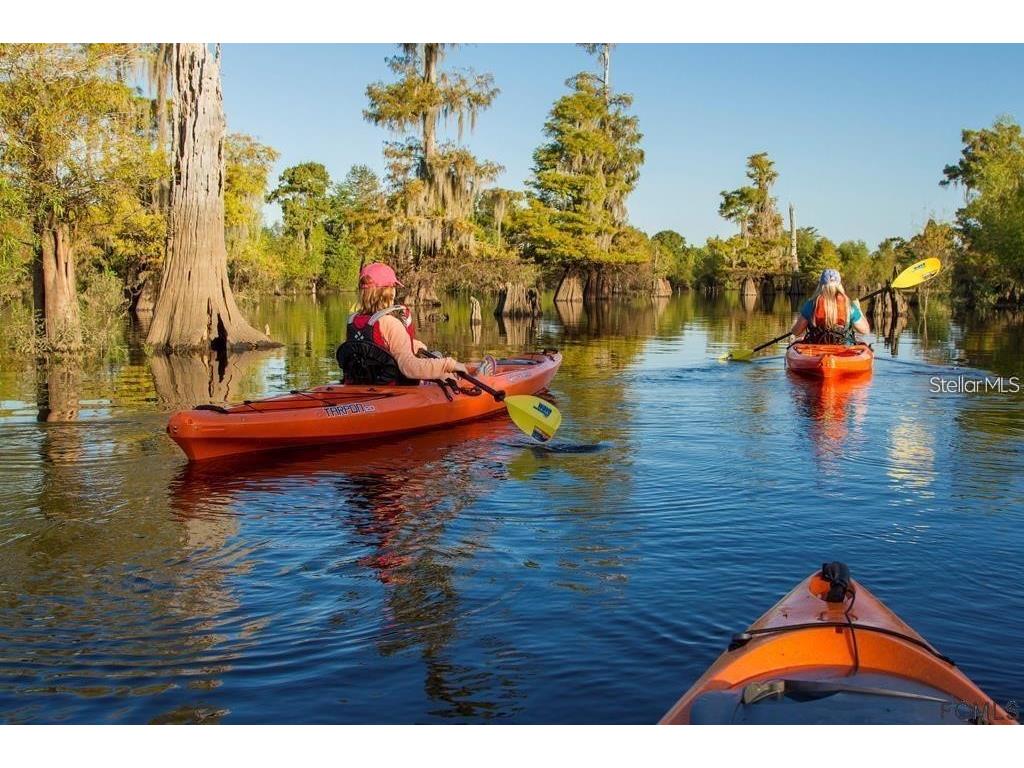 1817 Bayberry Street Bunnell FL 32110 FC313585 image3