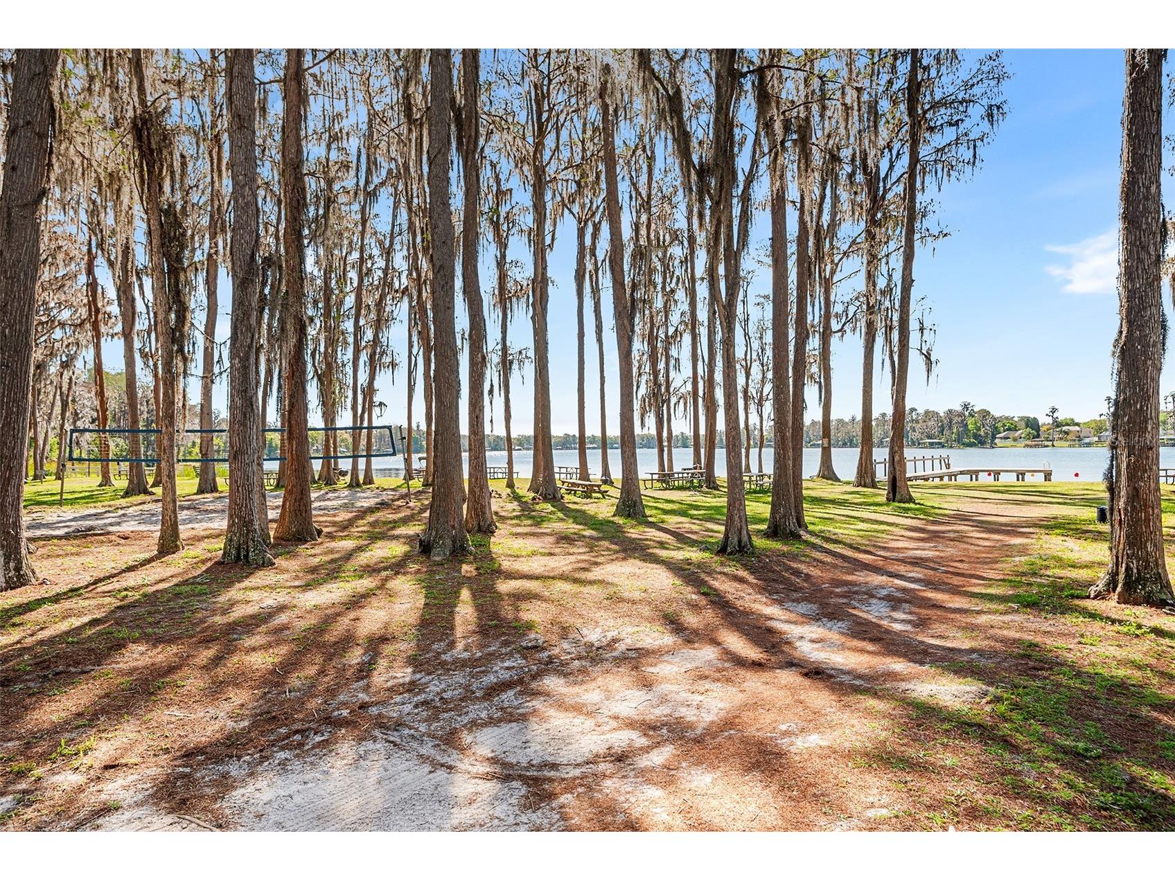 1817 Beachway Ln Odessa FL 33556 - LAKE ANN O6390423 image19