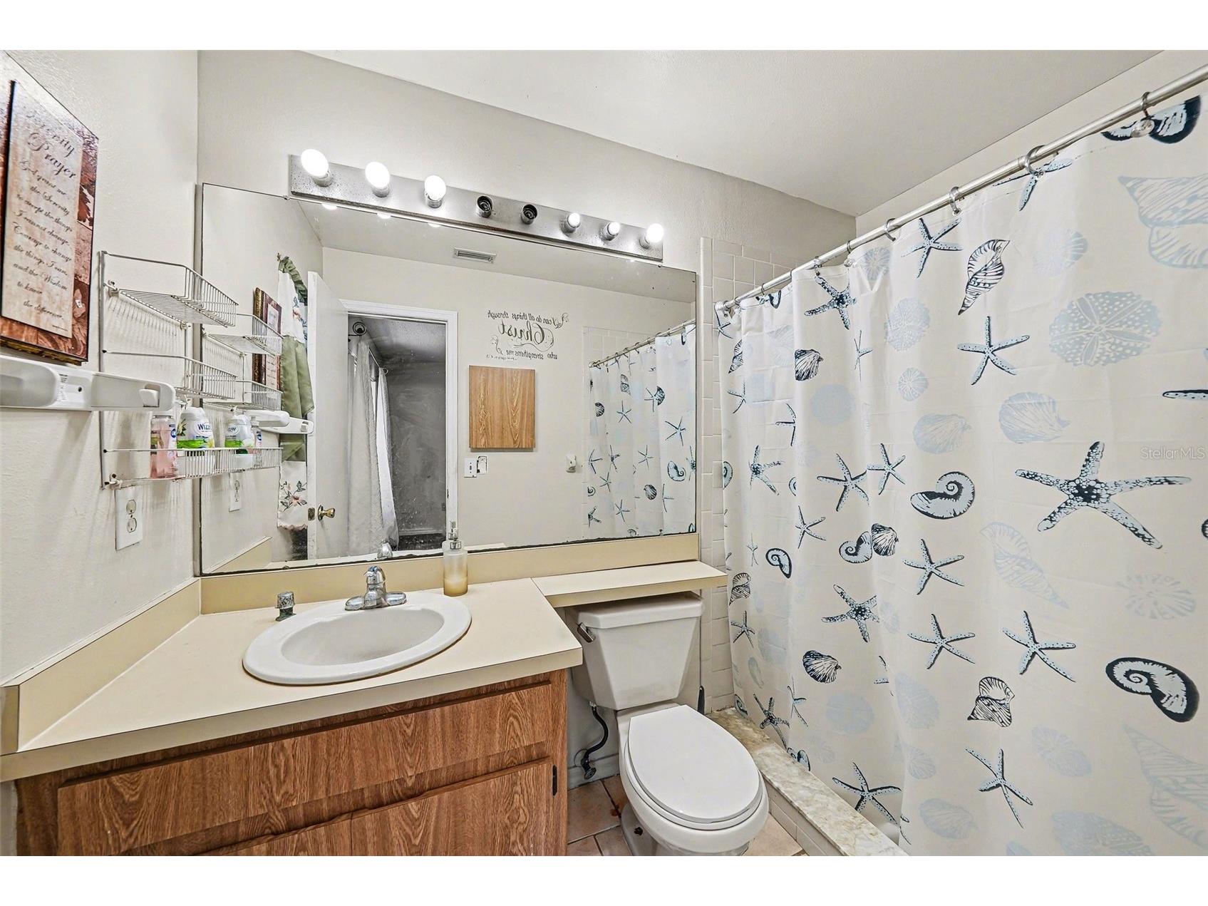 1817 Coyote Place Brandon FL 33511 TB8497182 image10