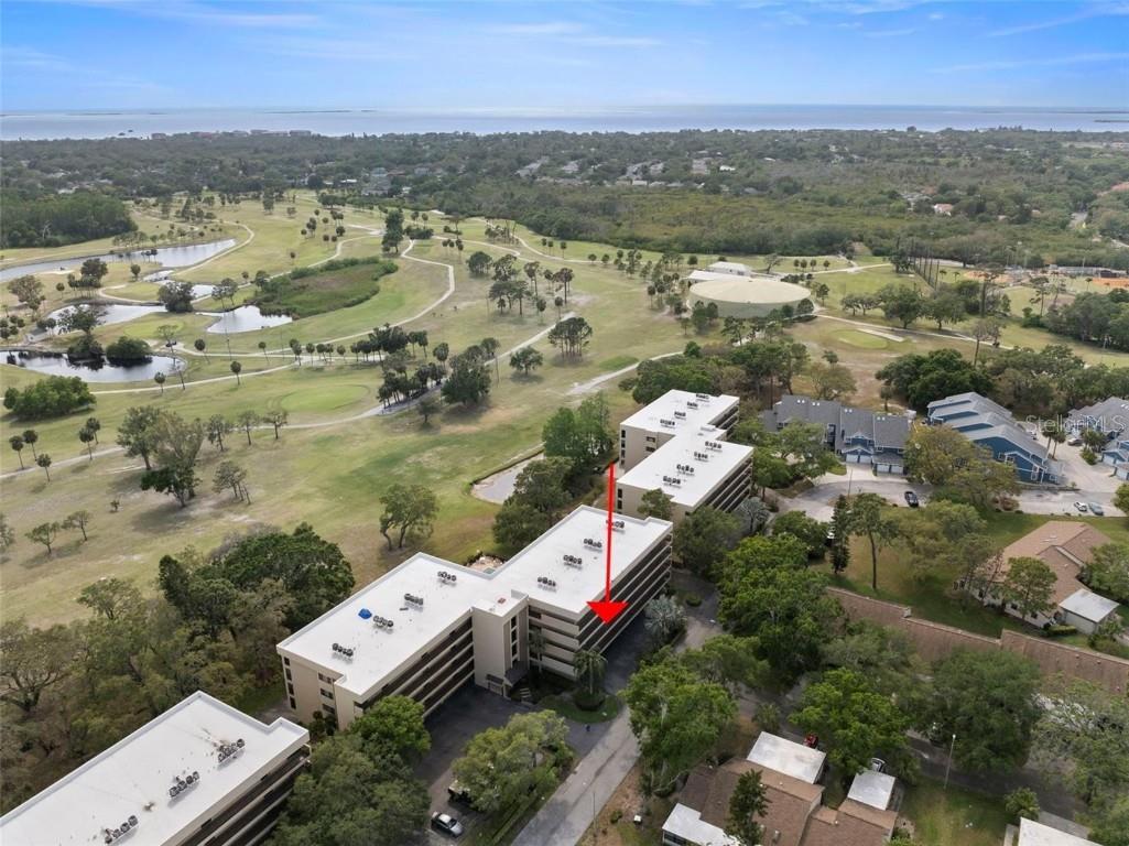 1817 Golfview Drive #1817 Tarpon Springs FL 34689 TB8413254 image29