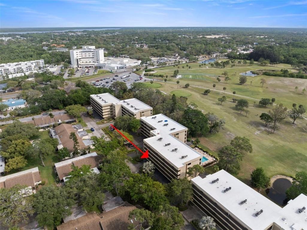 1817 Golfview Drive #1817 Tarpon Springs FL 34689 TB8413254 image30