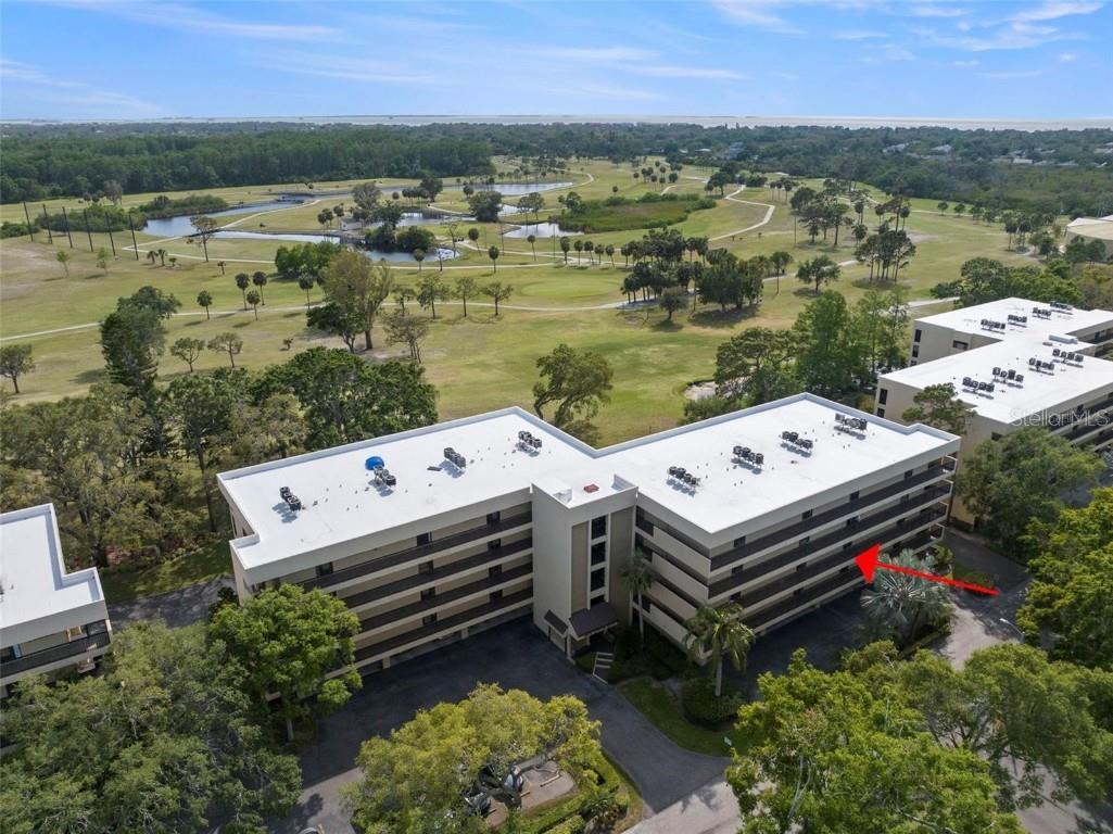 1817 Golfview Drive #1817 Tarpon Springs FL 34689 TB8413254 image34