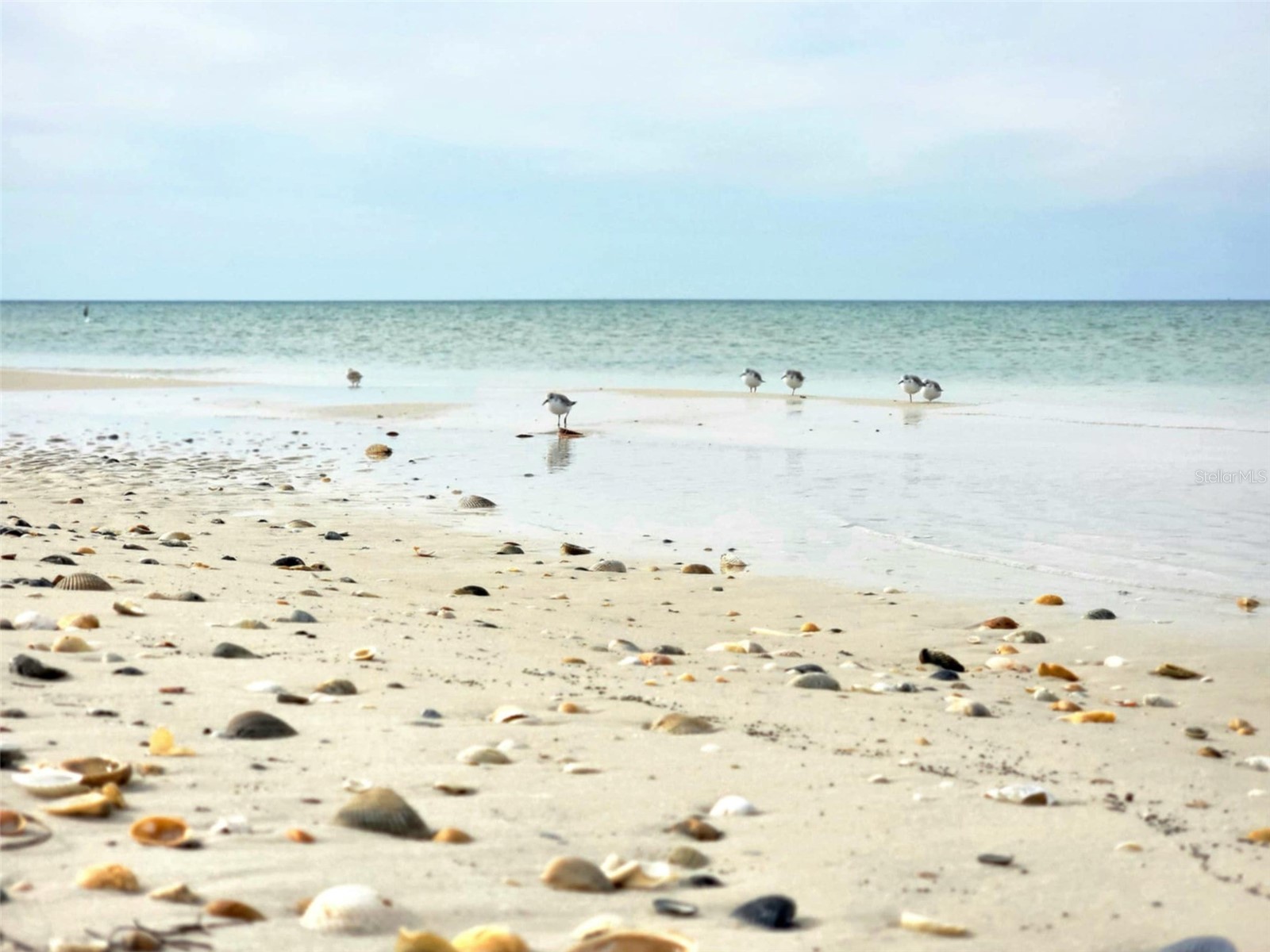1817 Highway 98 Mexico Beach FL 32456 - GULF OF MEXICO/AMERICA O6385953 image12