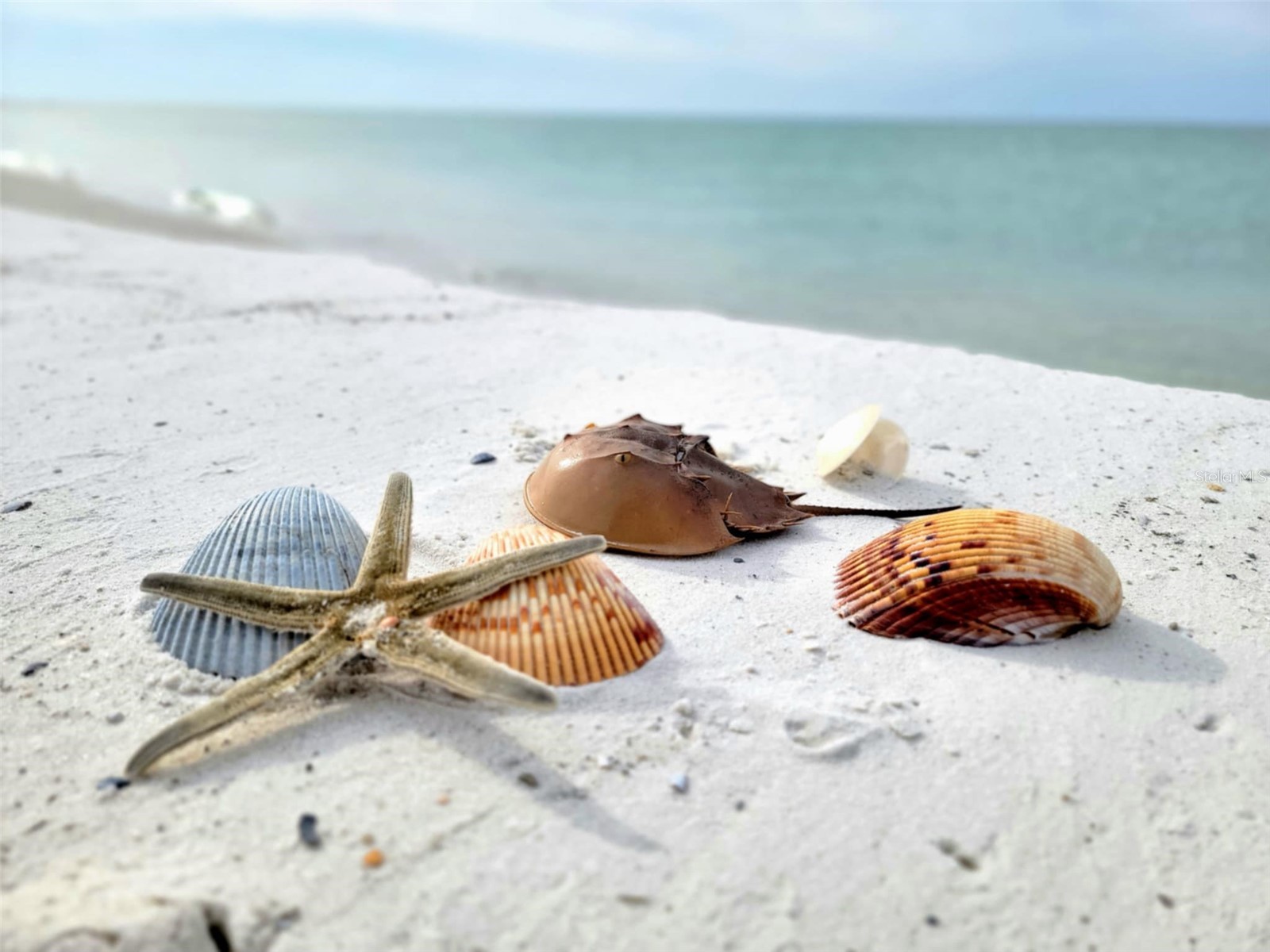 1817 Highway 98 Mexico Beach FL 32456 - GULF OF MEXICO/AMERICA O6385953 image13
