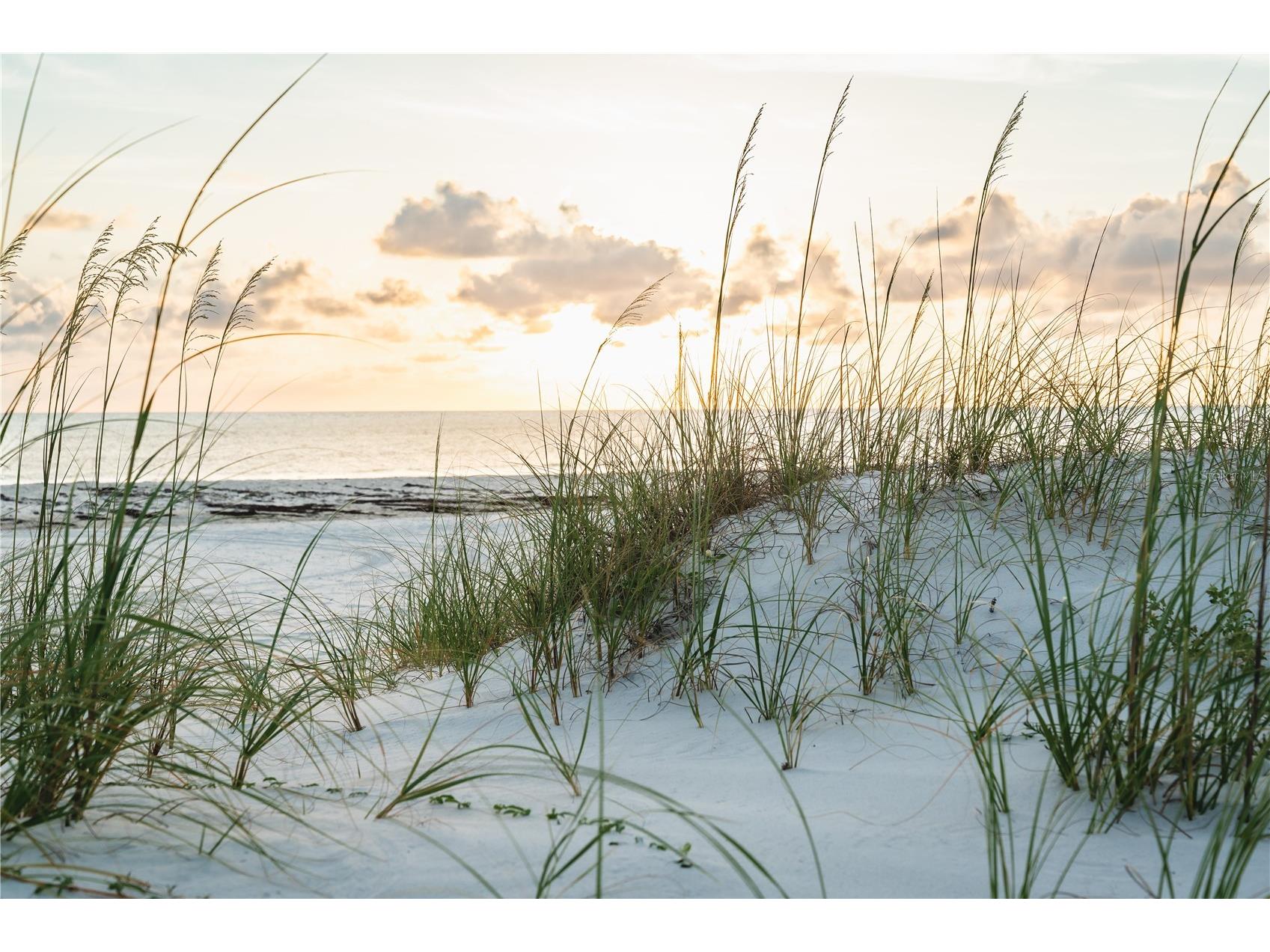 1817 Highway 98 Mexico Beach FL 32456 - GULF OF MEXICO/AMERICA O6385953 image9