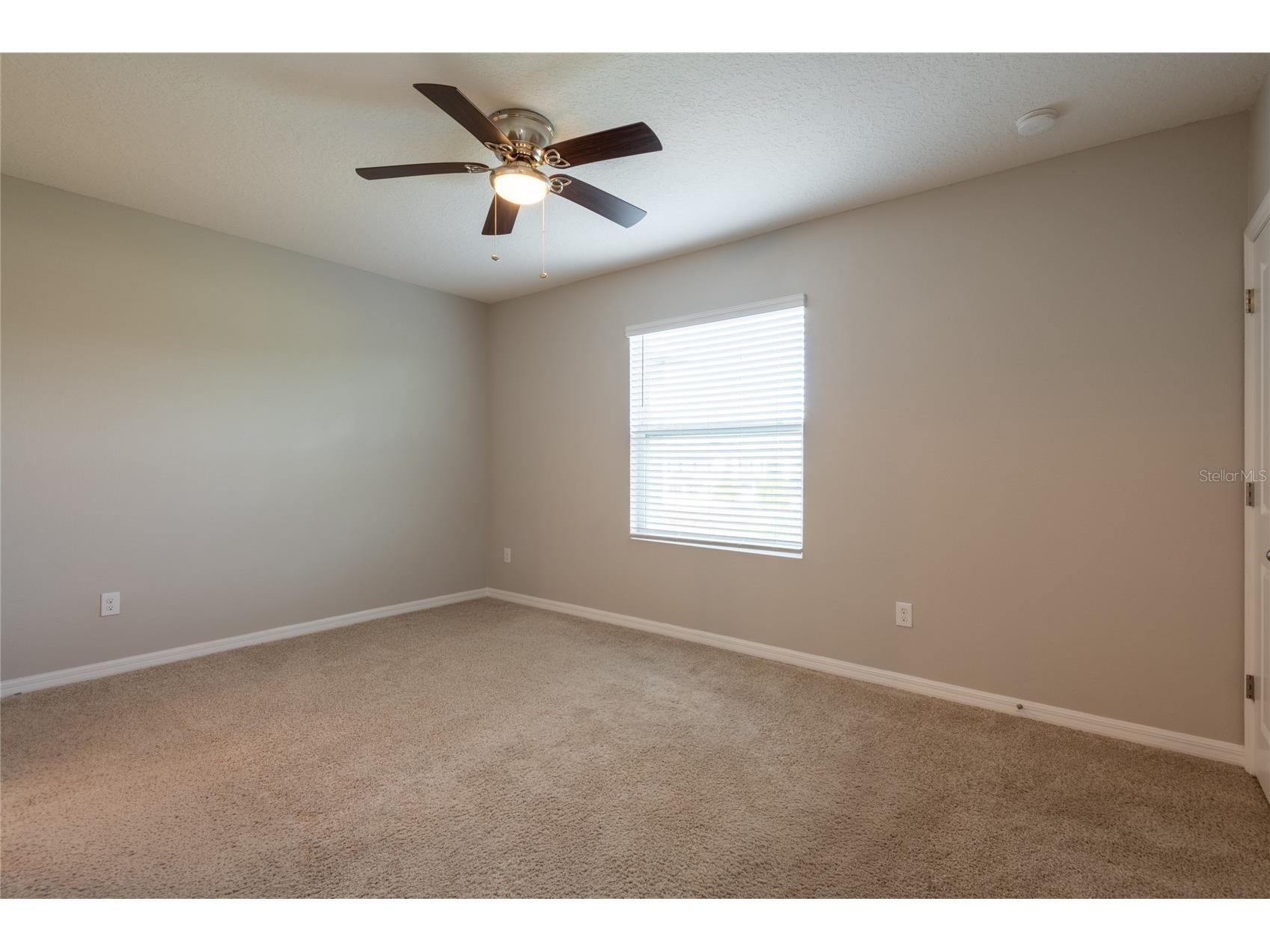 1817 Hovenweep Road Wesley Chapel FL 33543 TB8518490 image12