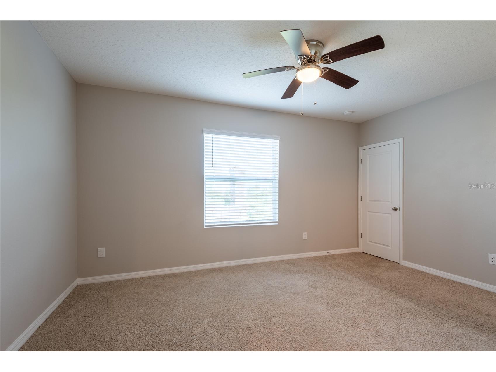 1817 Hovenweep Road Wesley Chapel FL 33543 TB8518490 image36