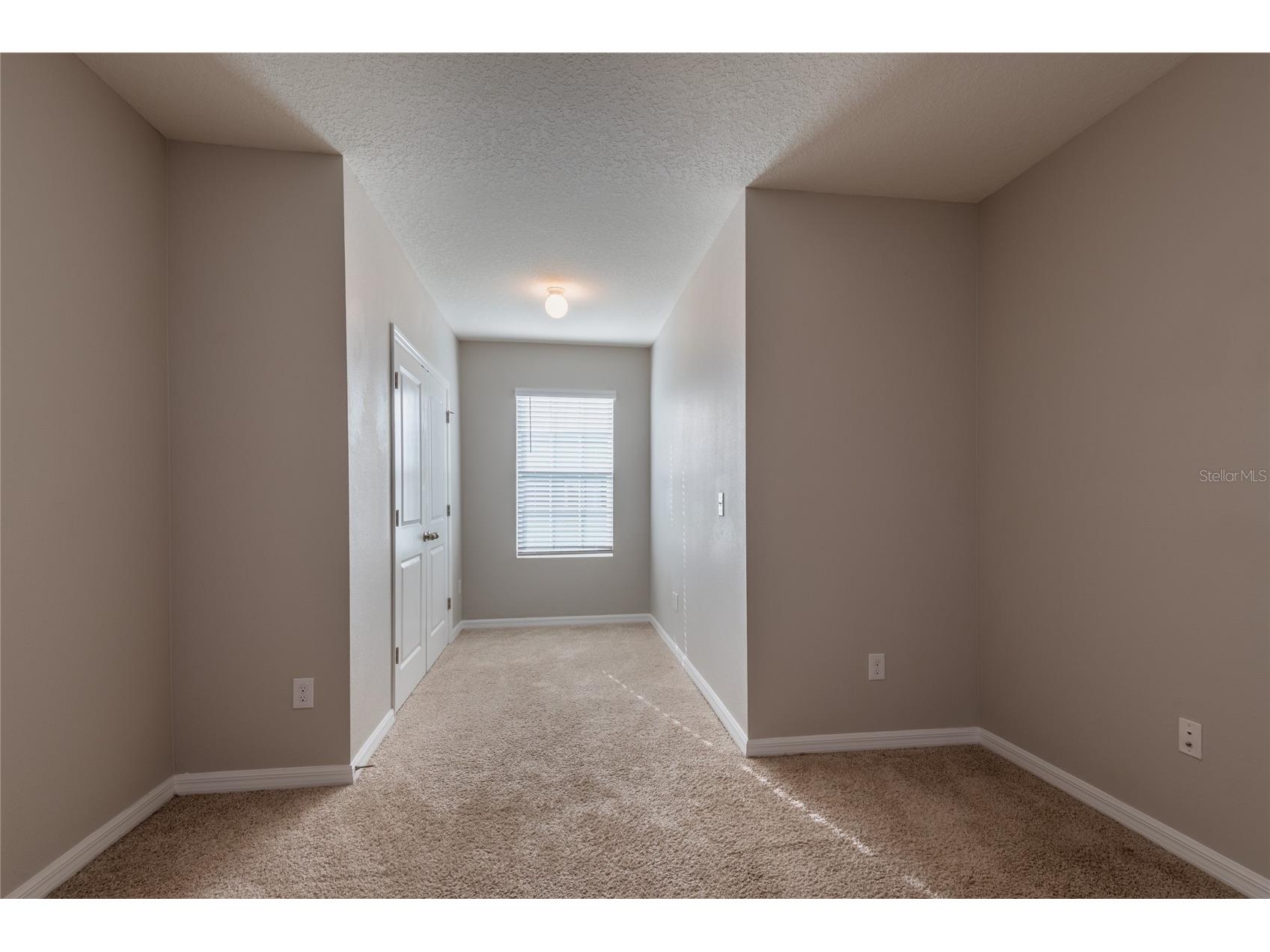 1817 Hovenweep Road Wesley Chapel FL 33543 TB8518490 image40