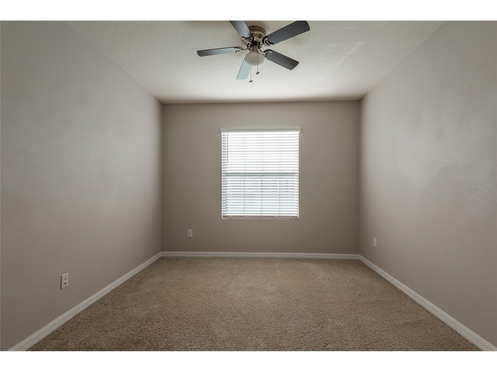 1817 Hovenweep Road Wesley Chapel FL 33543 TB8518490 image43