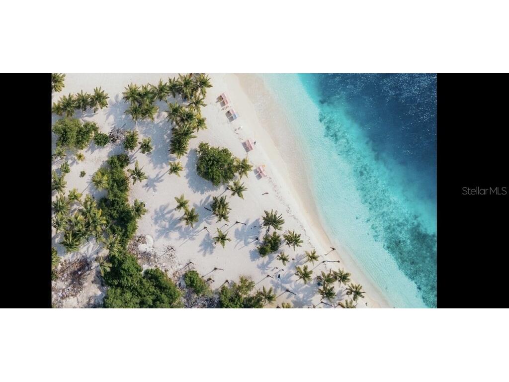 1817 Ivanhoe Street #A&B Sarasota FL 34231 A4583147 image26