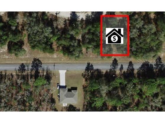 1817 W Magenta Drive Citrus Springs FL 34434 O6253182 image1