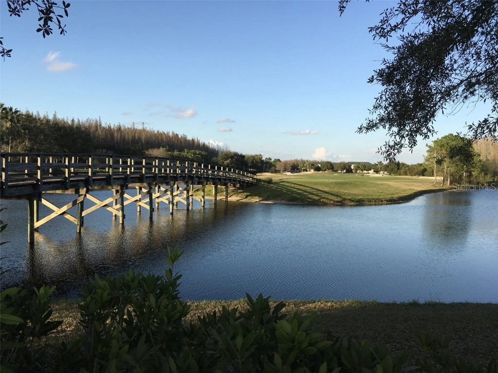 18170 Canal Pointe Street Tampa FL 33647 TB8452738 image36