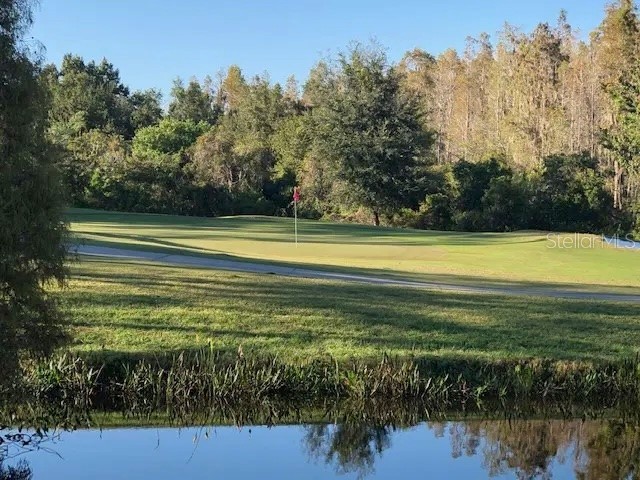 18170 Canal Pointe Street Tampa FL 33647 TB8452738 image37