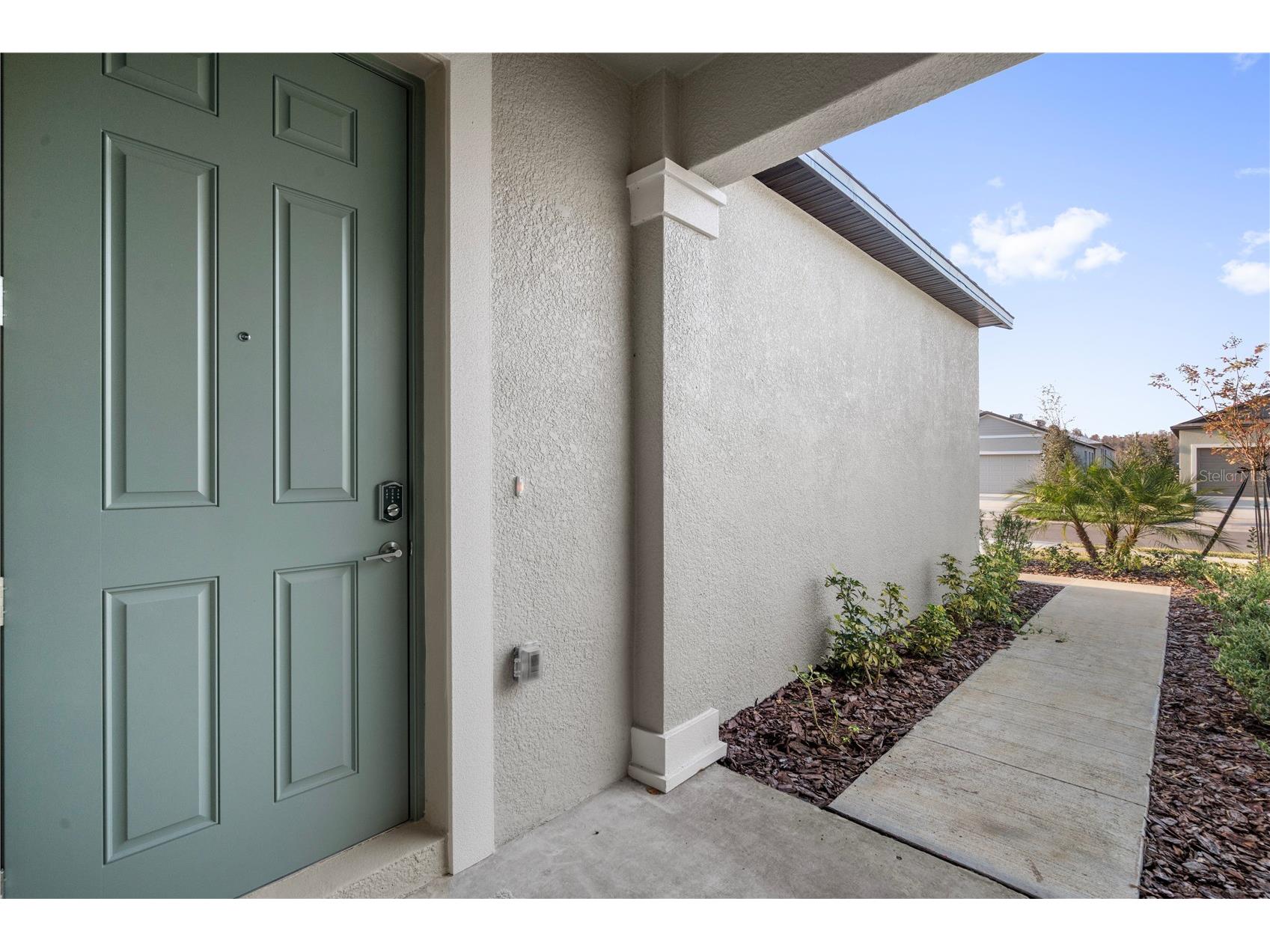 18170 Pleasantview Boulevard Land O Lakes FL 34638 TB8461719 image2