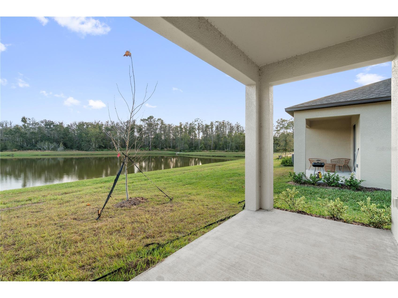 18170 Pleasantview Boulevard Land O Lakes FL 34638 TB8461719 image30