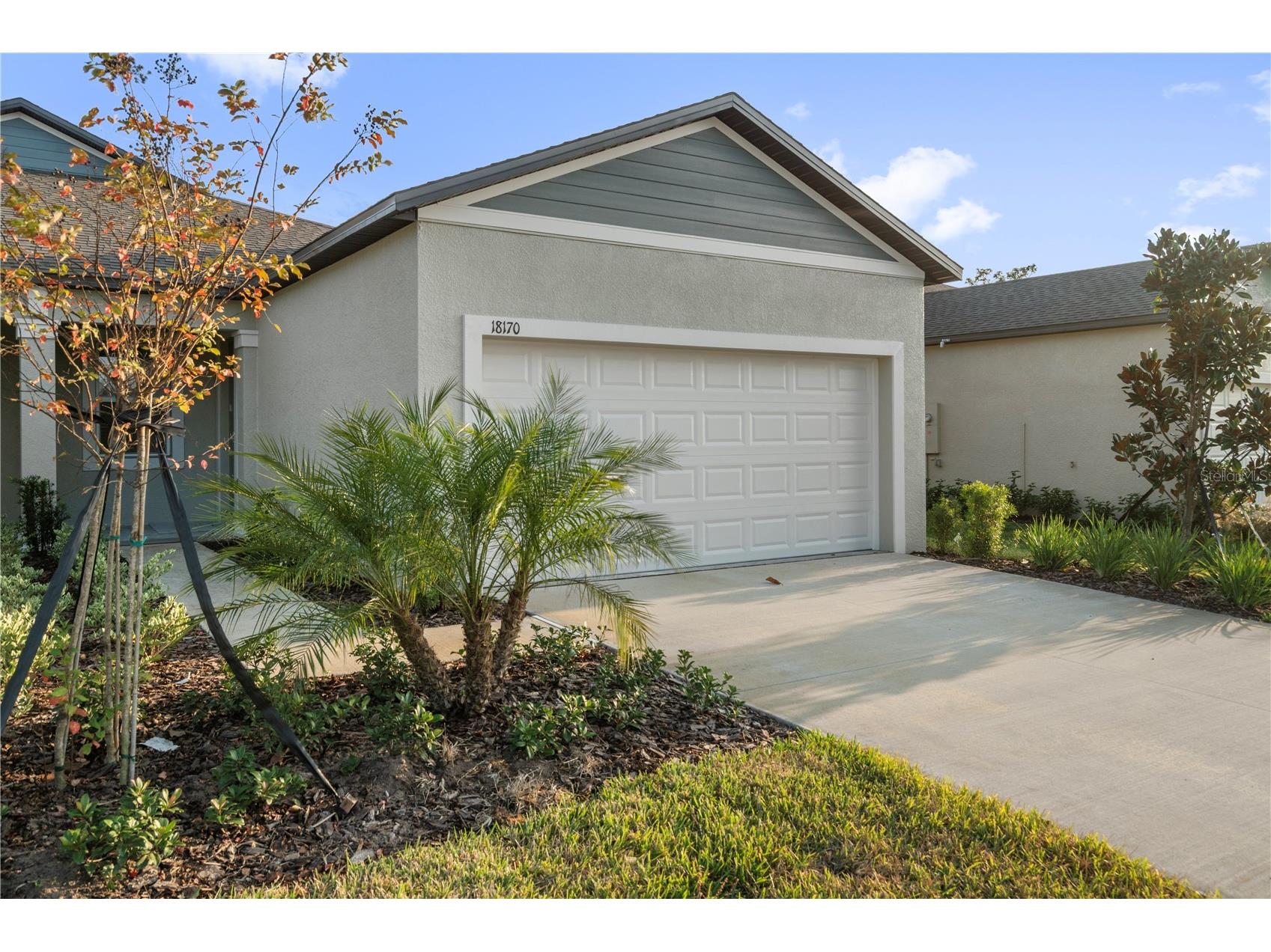 18170 Pleasantview Boulevard Land O Lakes FL 34638 TB8461719 image4