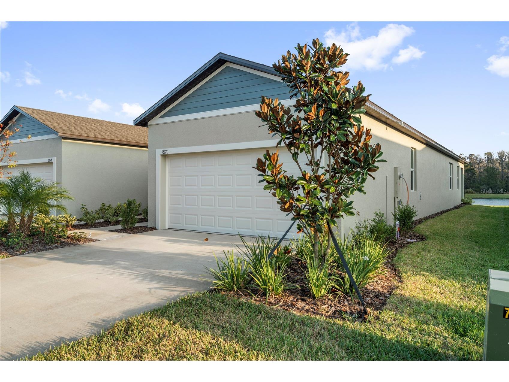 18170 Pleasantview Boulevard Land O Lakes FL 34638 TB8461719 image5