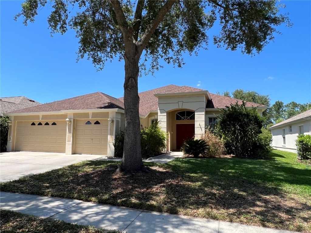 18171 Heron Walk Drive Tampa FL 33647 T3453551 image1