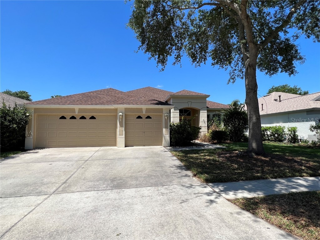 18171 Heron Walk Drive Tampa FL 33647 T3531637 image1