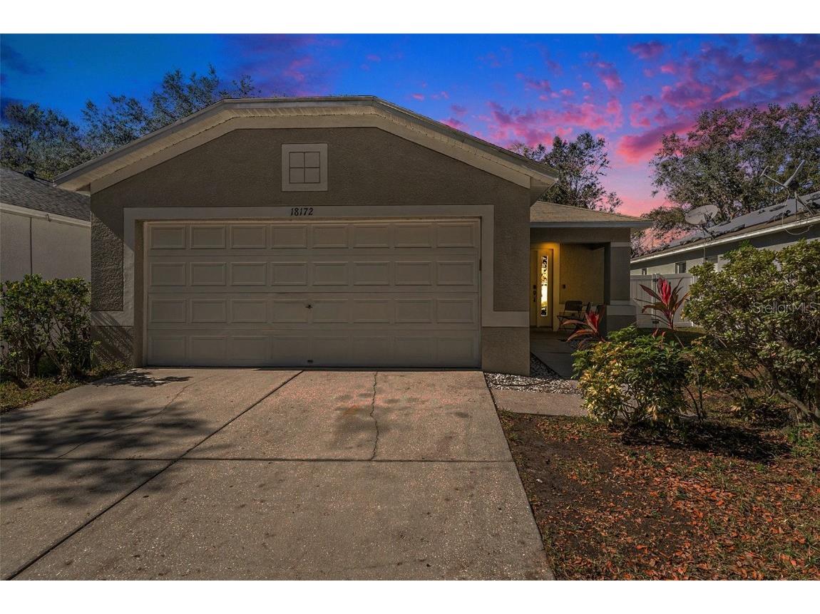 18172 Canal Pointe Street Tampa FL 33647 TB8322522 image1