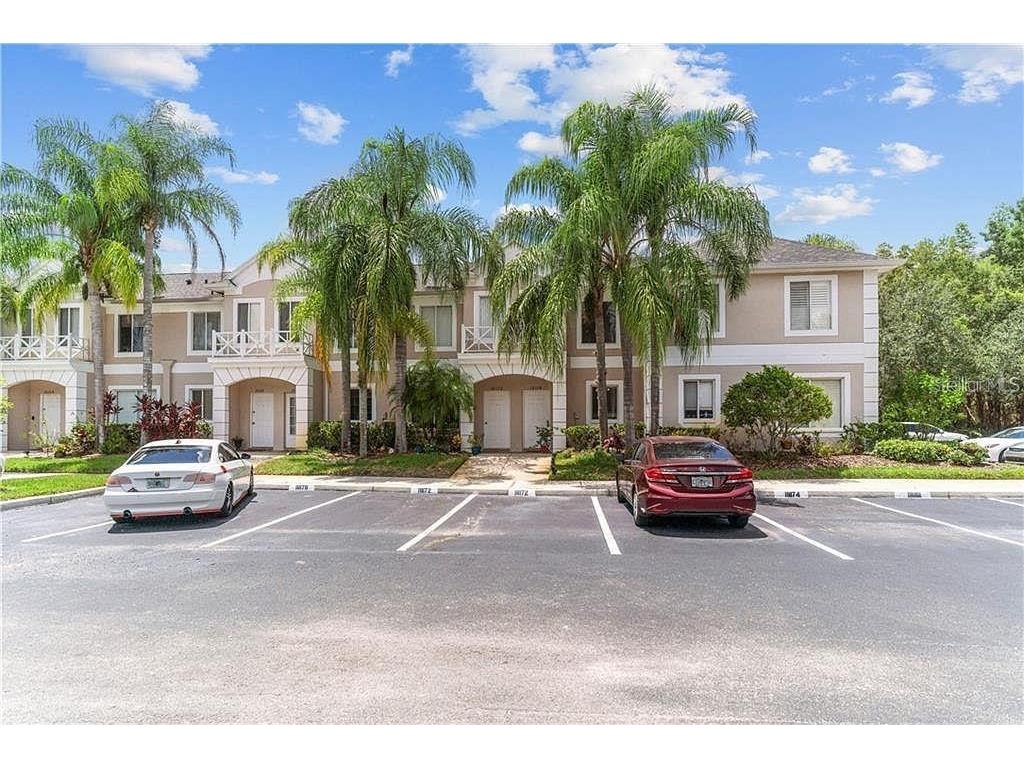 18174 Paradise Point Drive Tampa FL 33647 T3449091 image1
