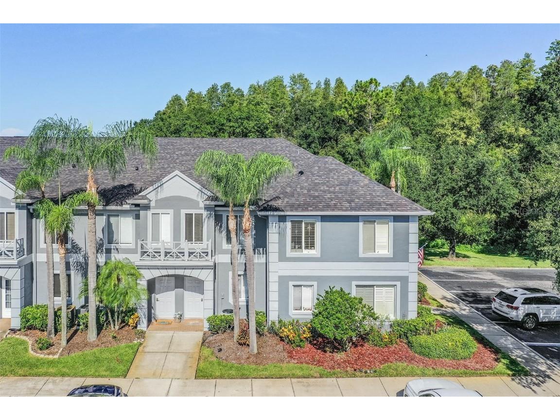 18174 Paradise Point Drive Tampa FL 33647 T3545830 image1