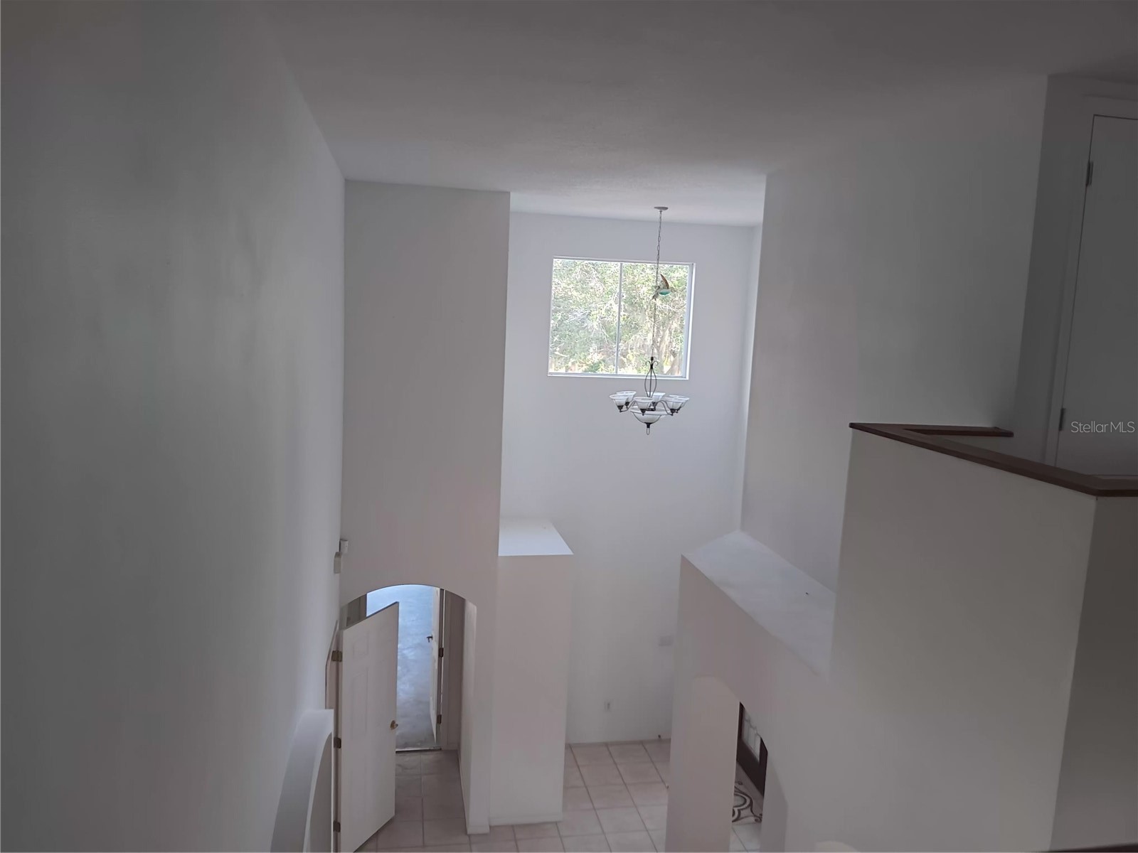 18178 Sandy Pointe Drive Tampa FL 33647 O6338497 image17