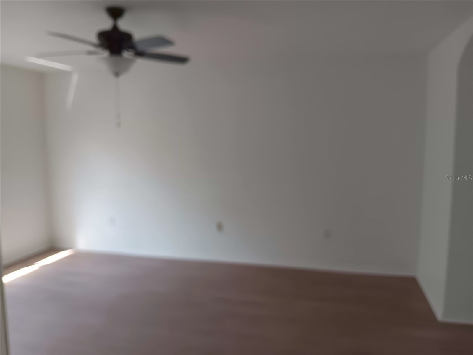 18178 Sandy Pointe Drive Tampa FL 33647 O6338497 image23