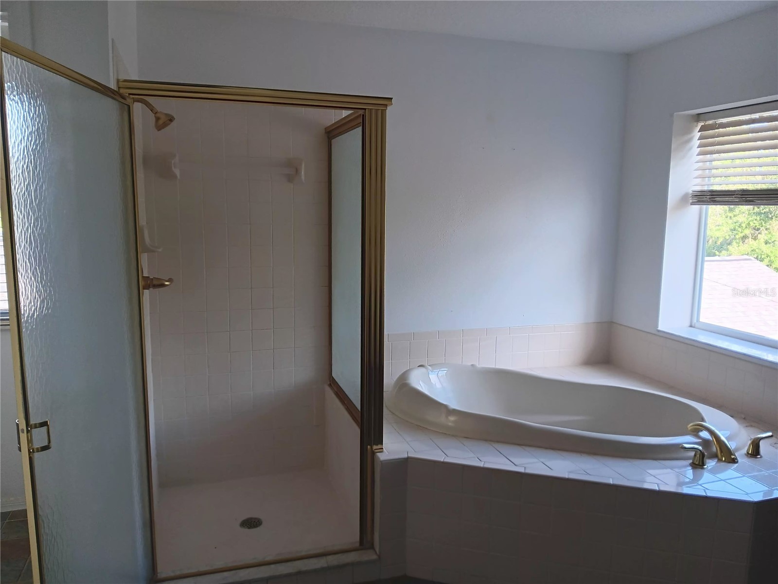 18178 Sandy Pointe Drive Tampa FL 33647 O6338497 image27