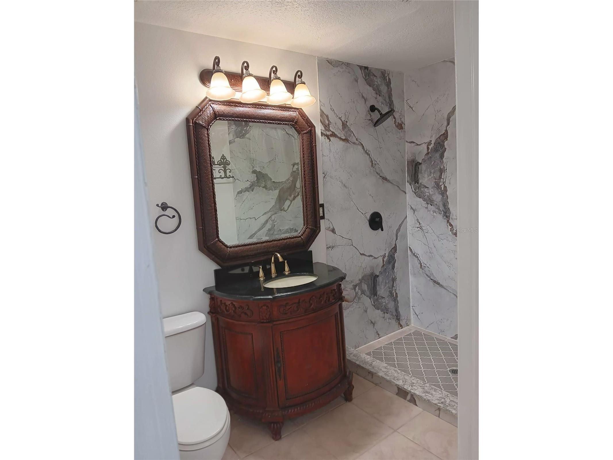 18178 Sandy Pointe Drive Tampa FL 33647 O6338497 image30