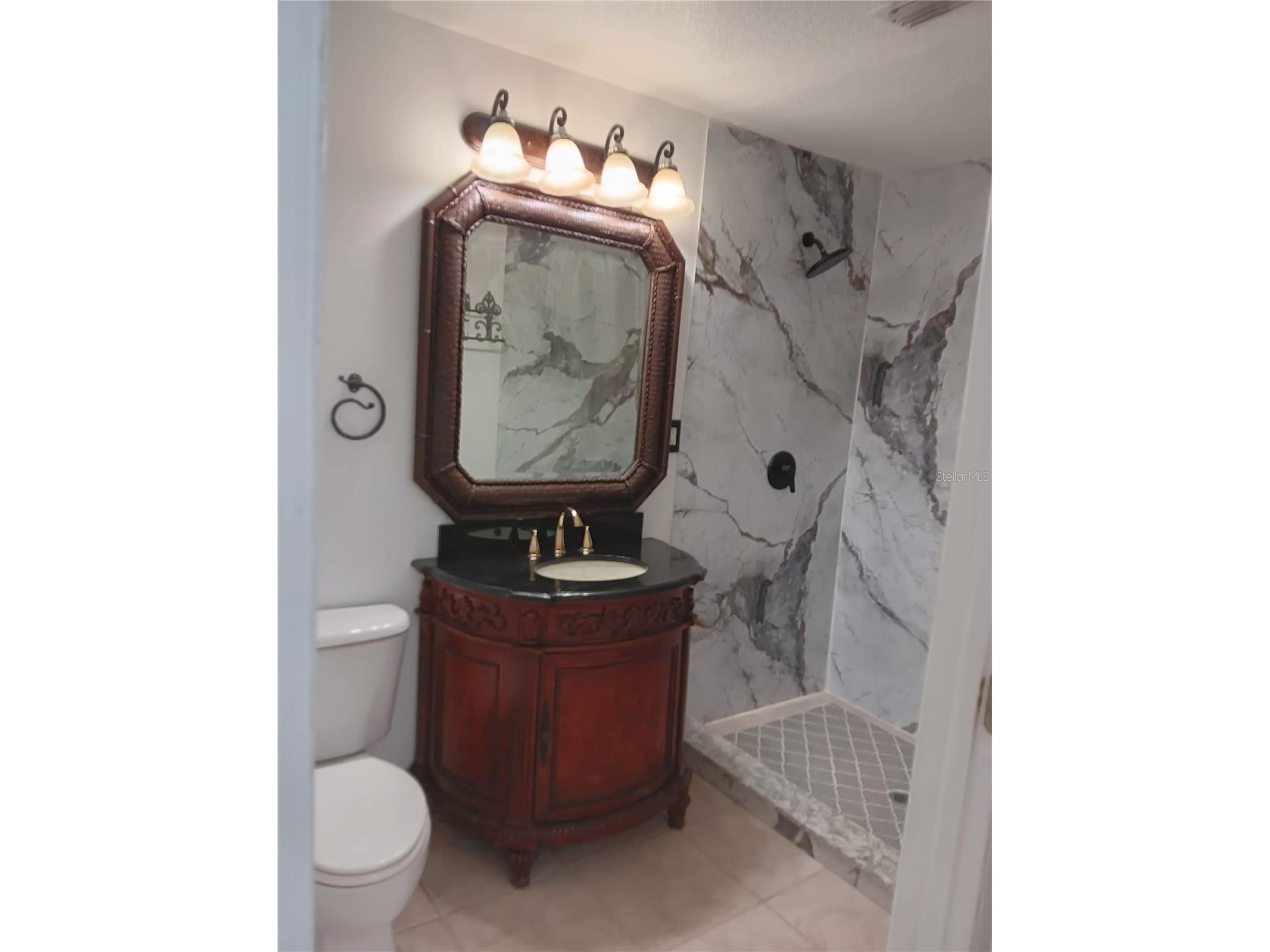 18178 Sandy Pointe Drive Tampa FL 33647 O6422026 image9