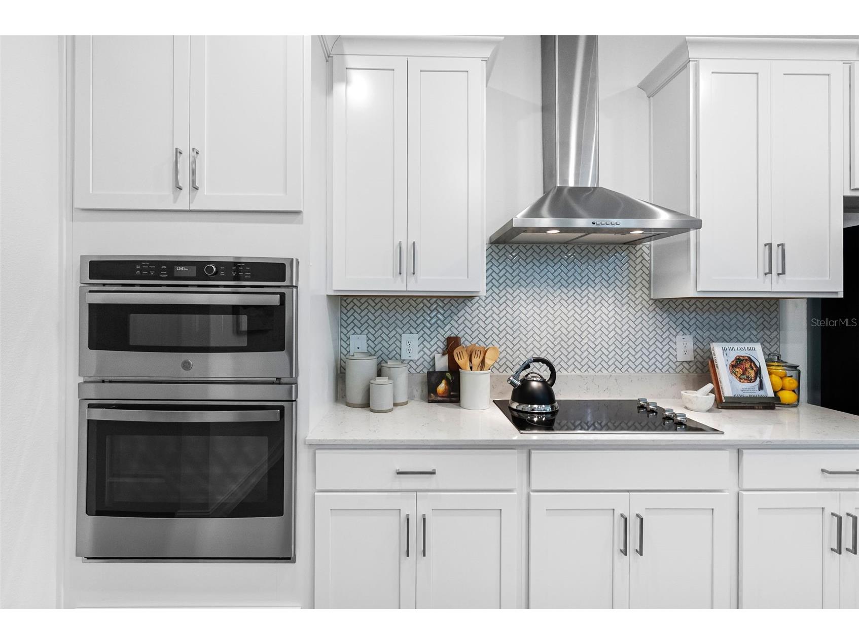 18178 Serene Lake Loop Lutz FL 33548 TB8484604 image10