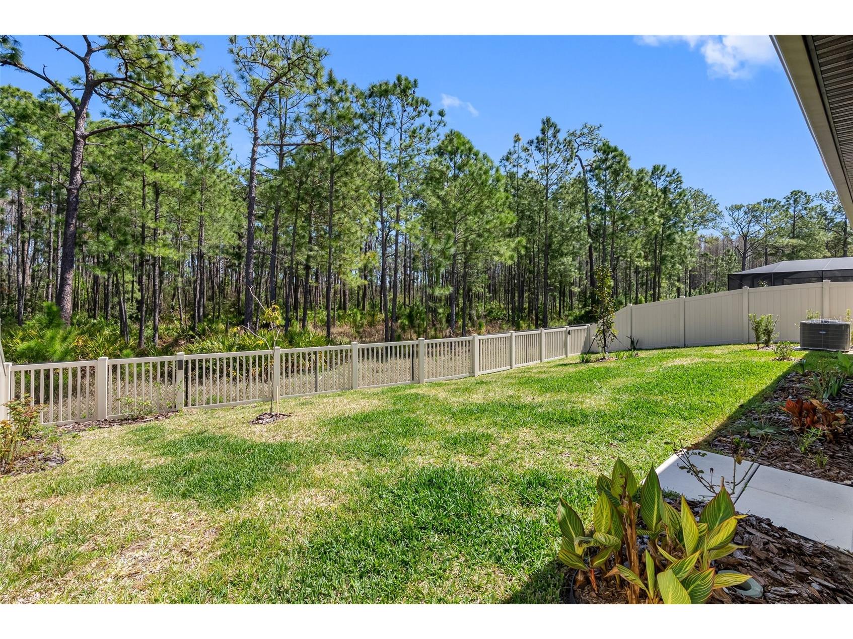 18178 Serene Lake Loop Lutz FL 33548 TB8484604 image34