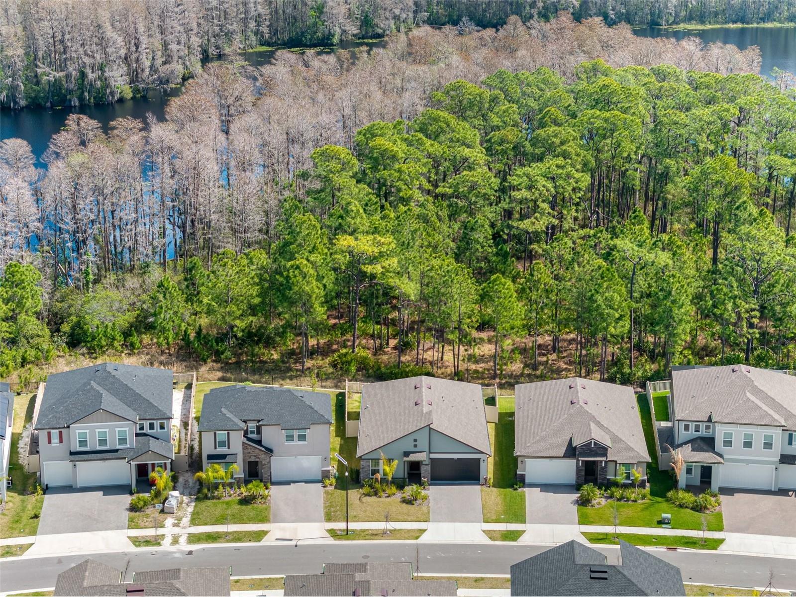 18178 Serene Lake Loop Lutz FL 33548 TB8484604 image39