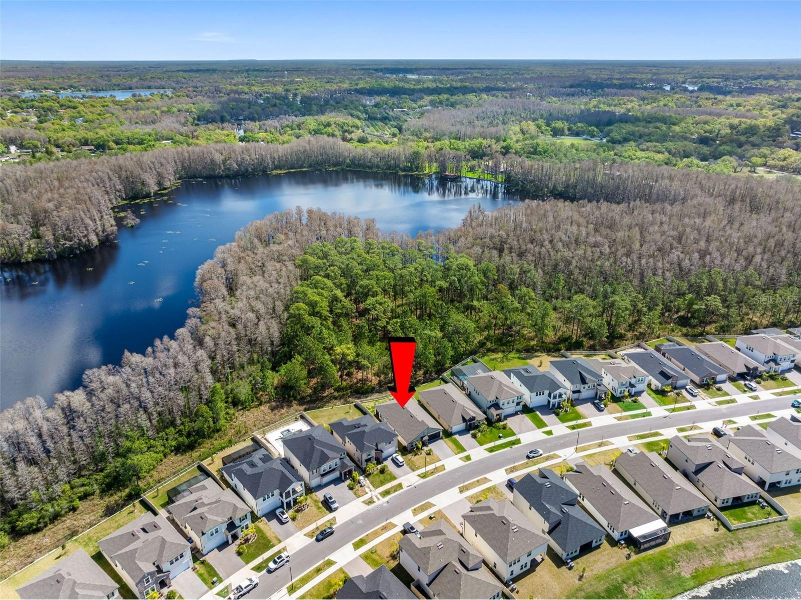 18178 Serene Lake Loop Lutz FL 33548 TB8484604 image40