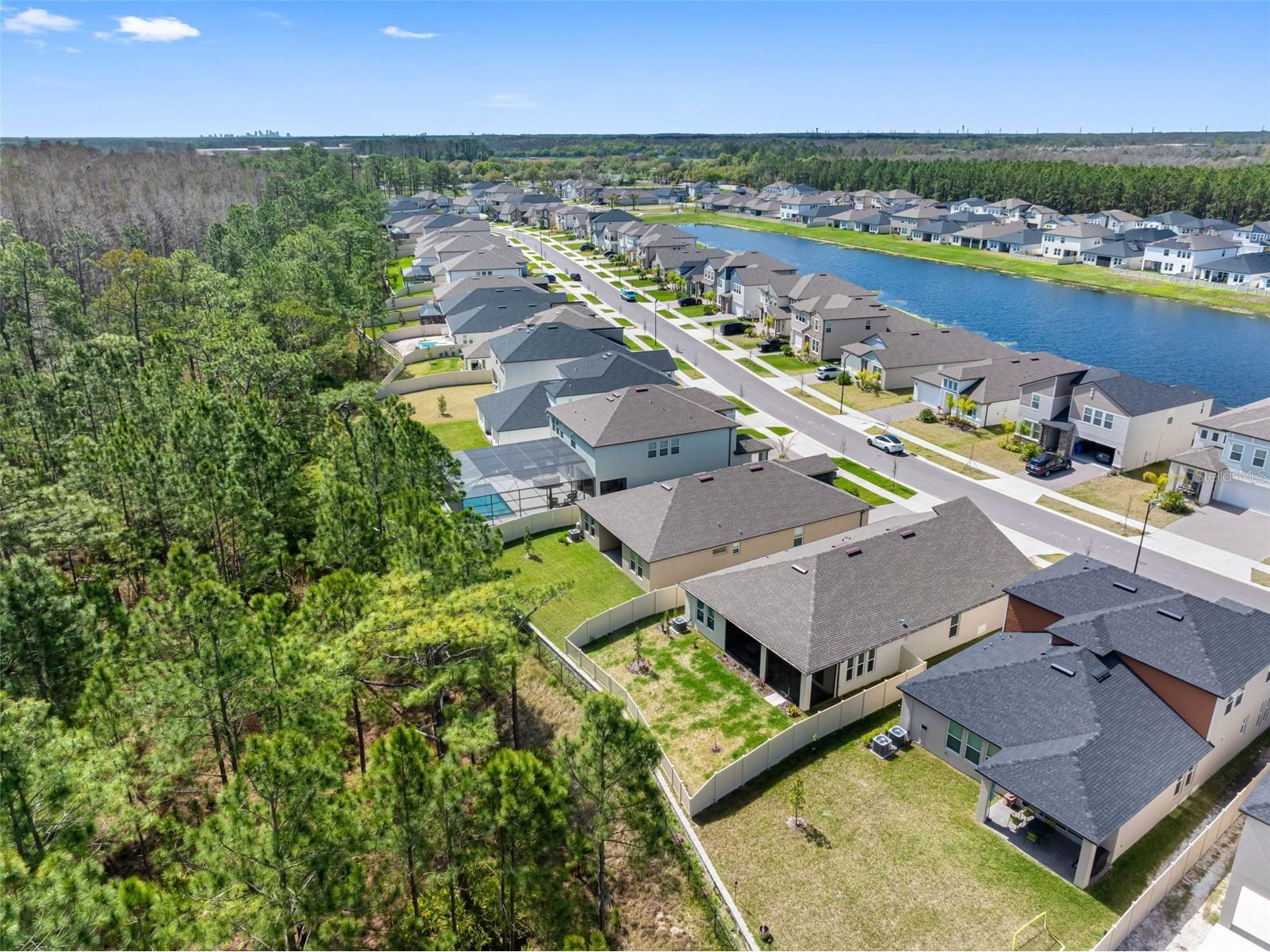 18178 Serene Lake Loop Lutz FL 33548 TB8484604 image41
