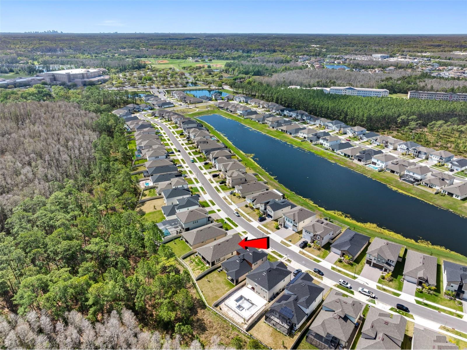 18178 Serene Lake Loop Lutz FL 33548 TB8484604 image42