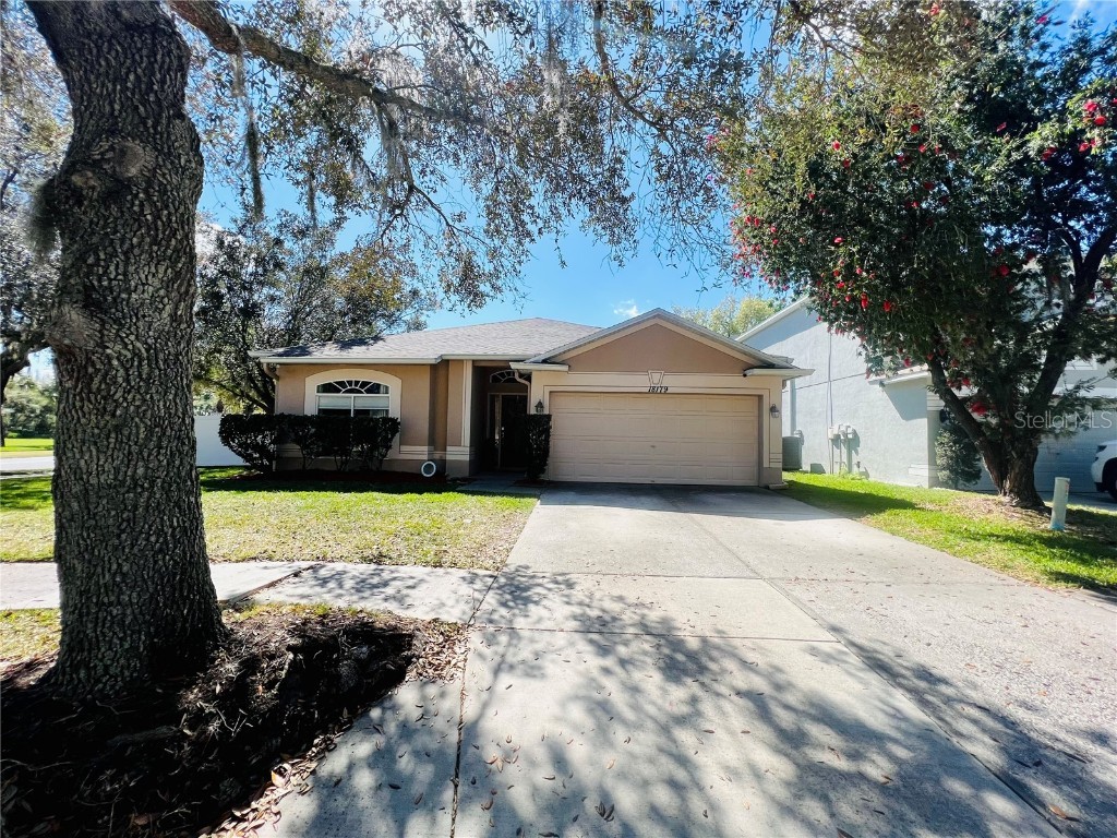 18179 Sandy Pointe Drive Tampa FL 33647 T3430020 image1