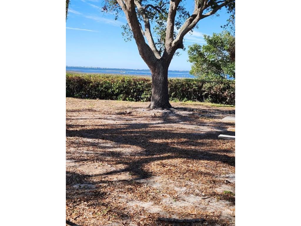 1818 Iowa Avenue Bradenton FL 34207 - SARASOTA BAY A4666324 image46