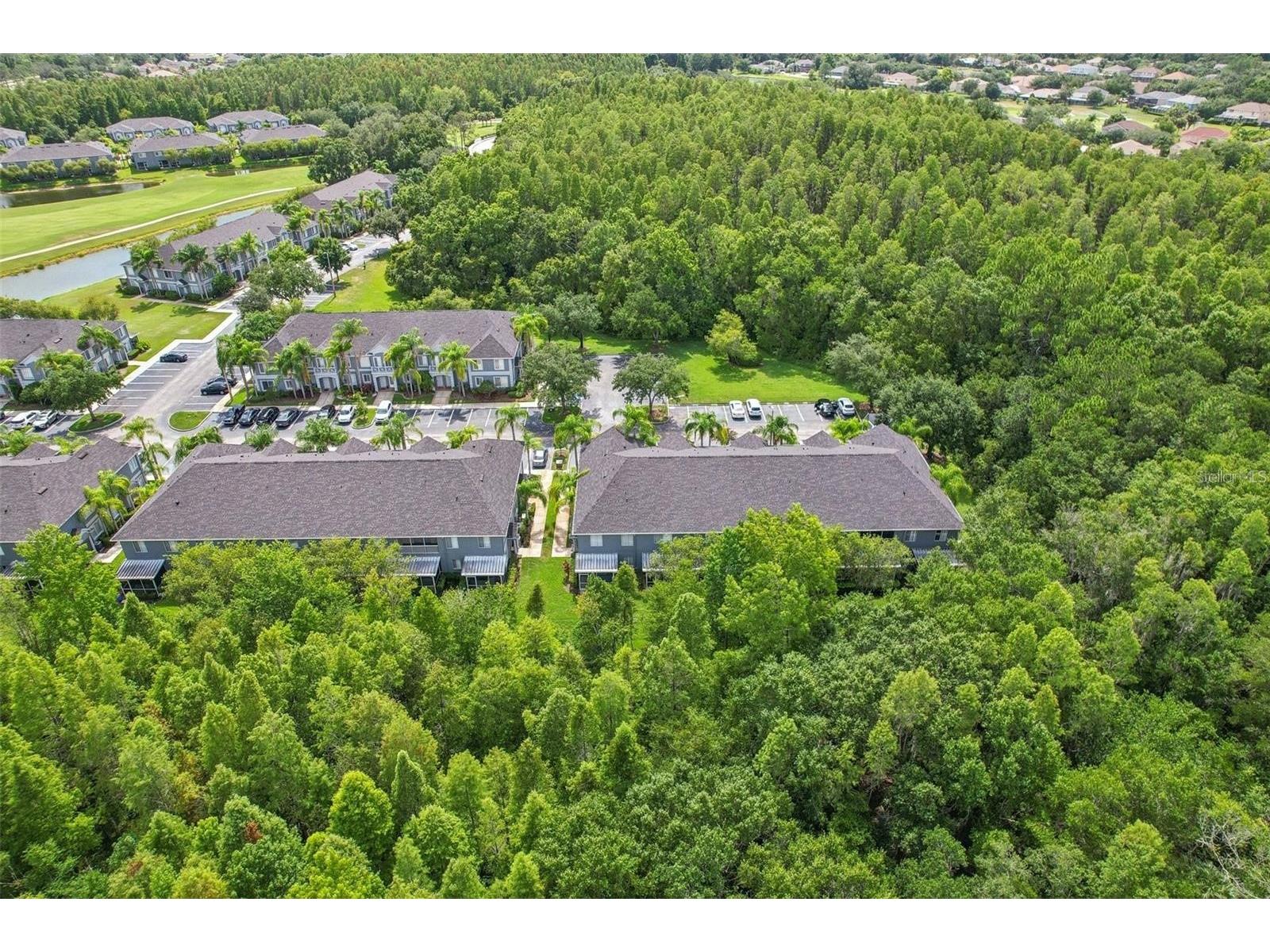 18181 Paradise Point Drive Tampa FL 33647 TB8513535 image10