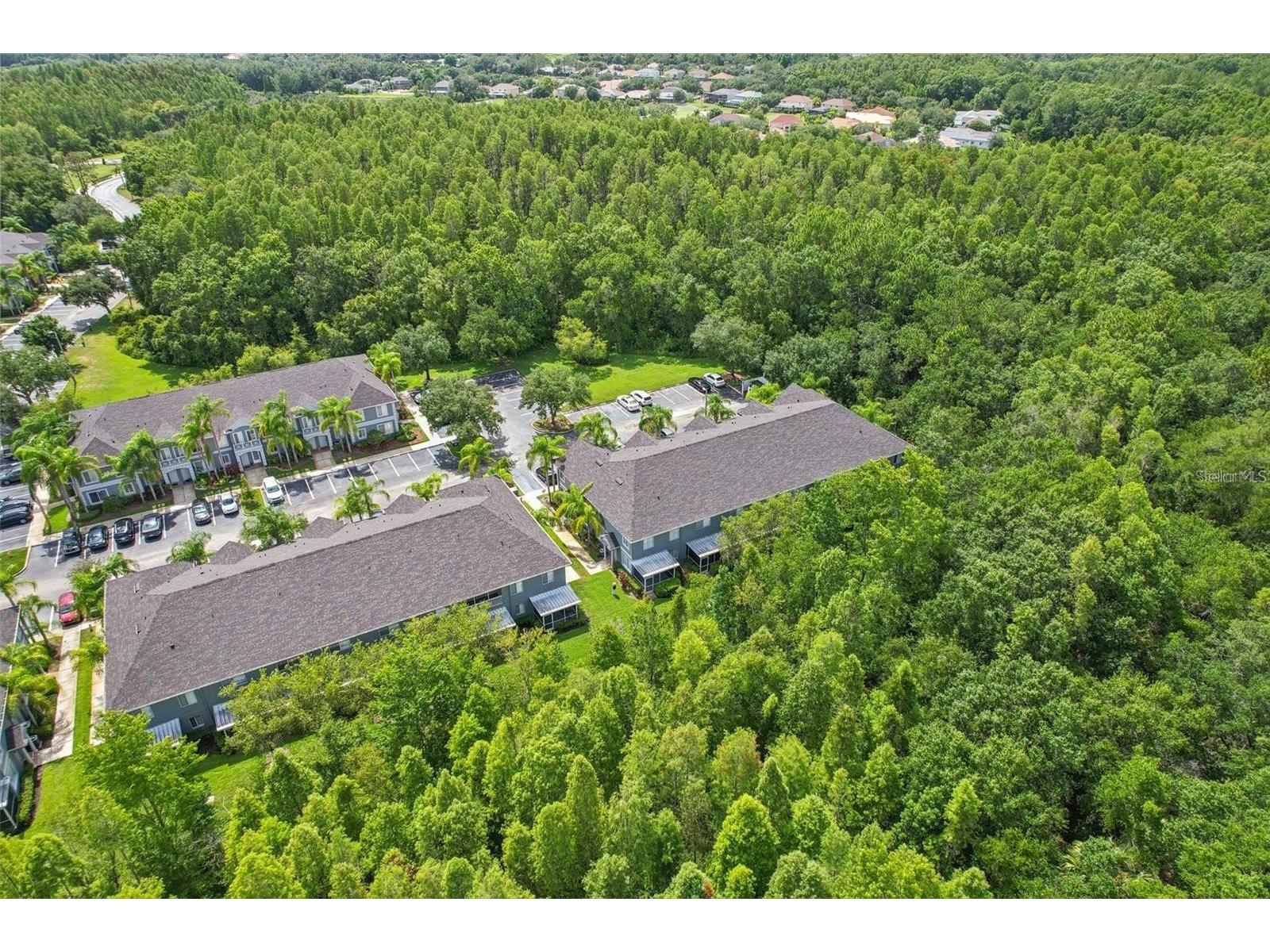 18181 Paradise Point Drive Tampa FL 33647 TB8513535 image11