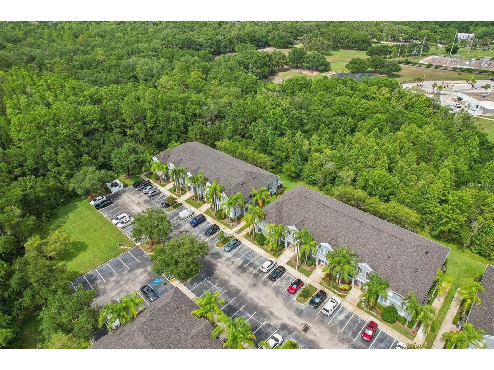 18181 Paradise Point Drive Tampa FL 33647 TB8513535 image12