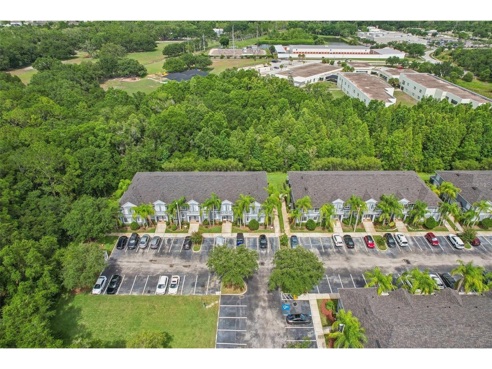 18181 Paradise Point Drive Tampa FL 33647 TB8513535 image14