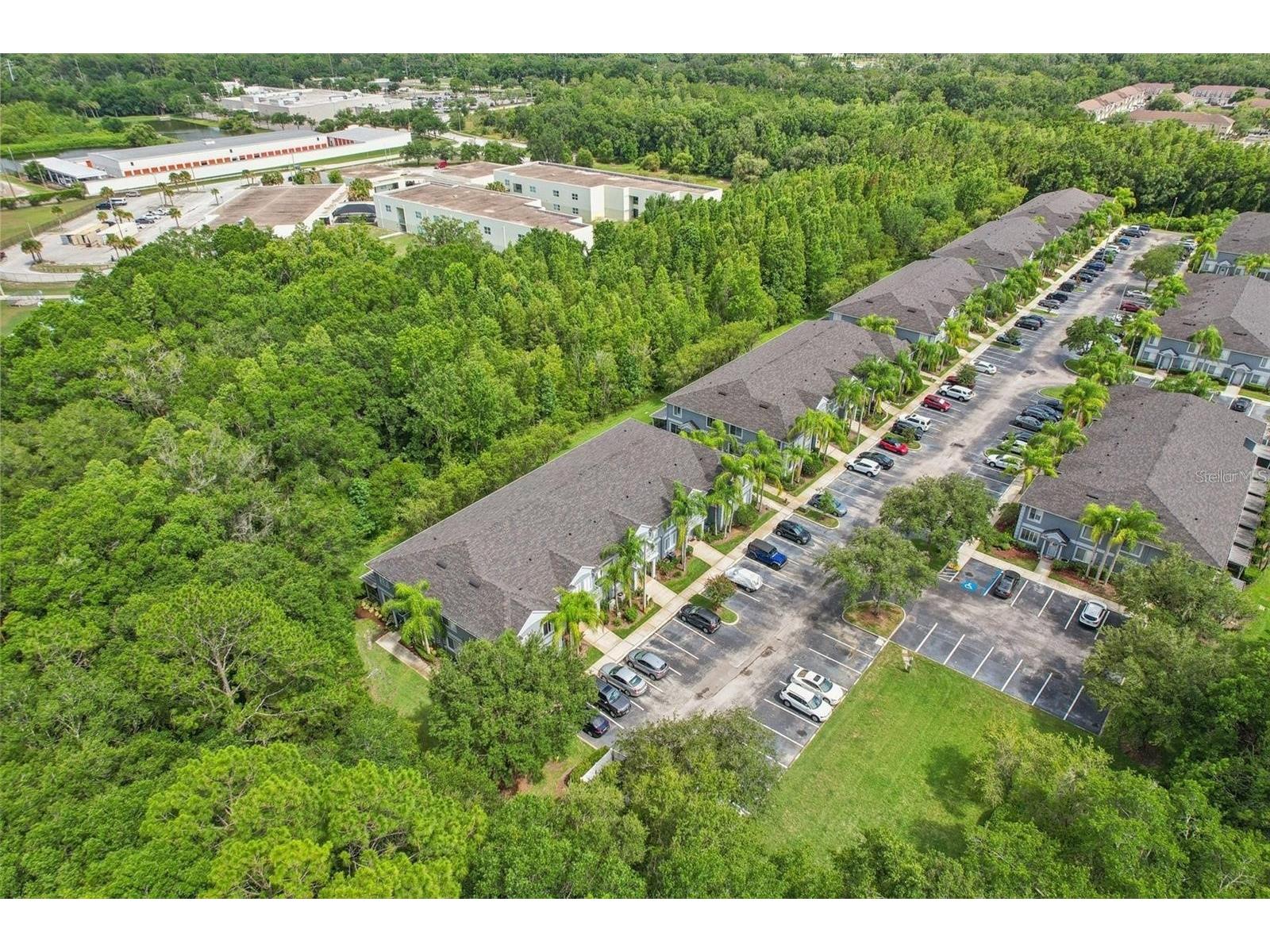 18181 Paradise Point Drive Tampa FL 33647 TB8513535 image15
